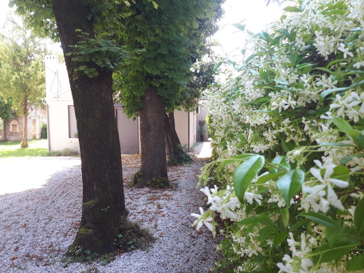 Villa Fiorentino Padova Eksteriør bilde